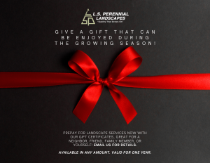 2026 Gift Certificates Now Available